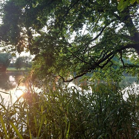 Ferienwohnung Am Buergerteich ビショフスヴェルダ エクステリア 写真