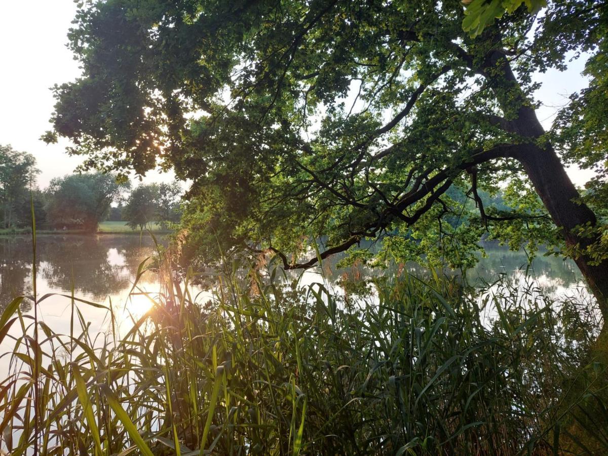 Ferienwohnung Am Buergerteich ビショフスヴェルダ エクステリア 写真