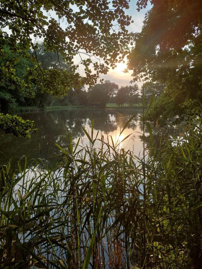 Ferienwohnung Am Buergerteich ビショフスヴェルダ エクステリア 写真